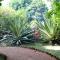 Baaz Jungle Resort