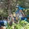 DES BRANCHES & VOUS photo 14