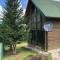 Kuca u borju - House in pines