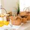 Hotel Nova Sintra - Adults only