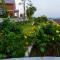 360 Resort