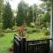 Baan JaoKorKluay บ้านเจ้ากอกล้วย - Chiang Rai