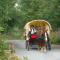 Les Roseaux de Callac photo 20