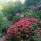 Ferienwohnung Rhododendron - Natur pur Kinderparadies