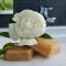 Boardinghouse Landshut
