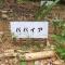 Makiya Tokusukeya
