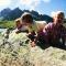 Serviced Apartments Wallis