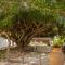 Villa le Torri B&B Villa le Torri B&B