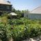 Shaki Host House