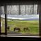 Cora´s House & Horses