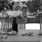 Le clos des pierres rouges photo 17