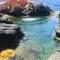 Sea Roots "Sea Zone"