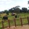 Dambulla Sun Vsh Holiday