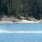 The Pines Resort & Conference Center - Bass Lake