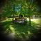 Andante Lodge