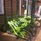 Ocean Cascais - Apartment with Swimming Pool - Cascais