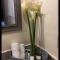 Hotel Boutique Rancho San Jorge