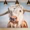 The Bull Hotel