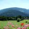 Pension Wiesenrain