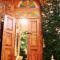Pumpkin Tree Guesthouse