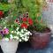 Olad Riverview Townhouse