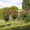 Historic Merryville Homestead