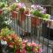 Apartamentos L´Era de Baix