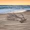 The Lakes Beachfront Holiday Park