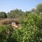 Apartments with parking space Bozava, Dugi otok - 8124