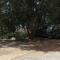 Apartments with parking space Bozava, Dugi otok - 8124
