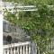 Apartments by the sea Podaca, Makarska - 2618