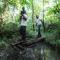 Bushbaby Lodge