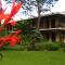 Hotel Las Farolas