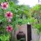 Chalets Bougainville