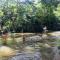 Dinesh Safari Homestay