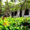 Coconut Grove - Midigama