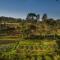 Bushbaby Lodge