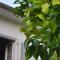 Lemon tree villa