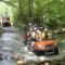 Chetola Resort at Blowing Rock (Lodge) - بلاوينغ روك