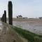 Foreshore House