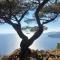 Appart Port Cassis Village Parking - 卡西斯