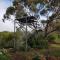 Pecan Hill BNB - Toodyay