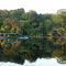Amazon Ecopark Jungle Lodge