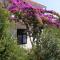 Apartments by the sea Basina, Hvar - 5700