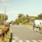Surfside Holiday Park Warrnambool