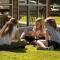 Surfside Holiday Park Warrnambool