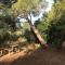 Vento etrusco