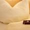 Hotel Atrium Garni