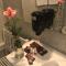 Ambra Boutique Hotel & Bistro