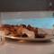 Park Boutique Hotel